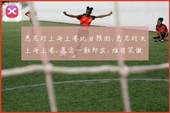 悉尼对上海上港比分预测,悉尼对决上海上港,悬念一触即发,谁将笑傲江湖