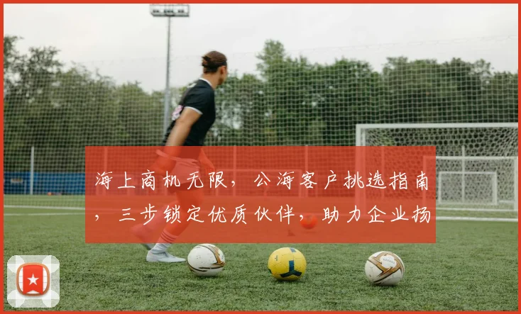 海上商机无限，公海客户挑选指南，三步锁定优质伙伴，助力企业扬帆起航，三招制胜